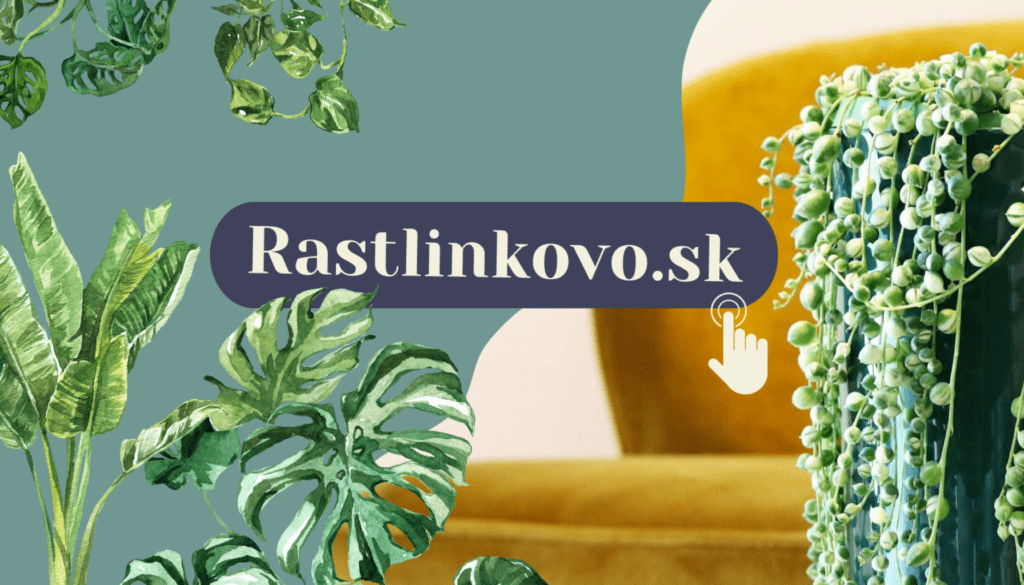 rastlinkovo