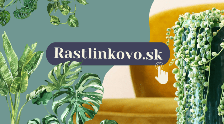 rastlinkovo